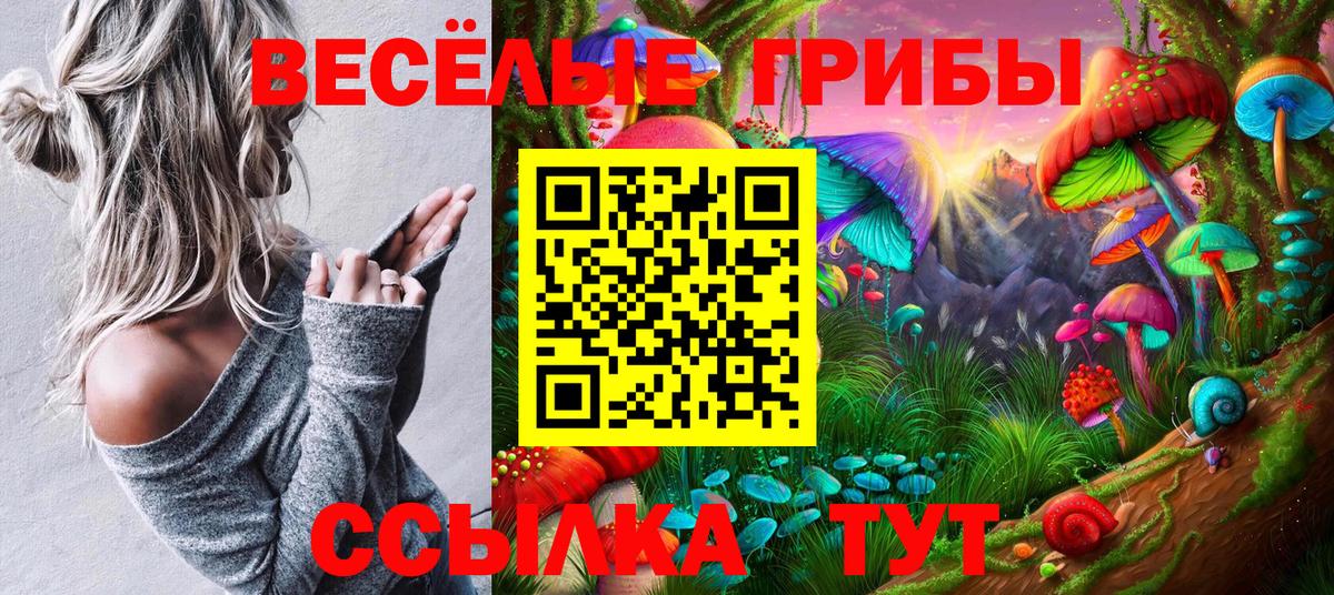 Галлюциногенные грибы GOLDEN TEACHER  Вход с VPN  Калач-на-Дону  Галлюциногенные грибы ЛСД 